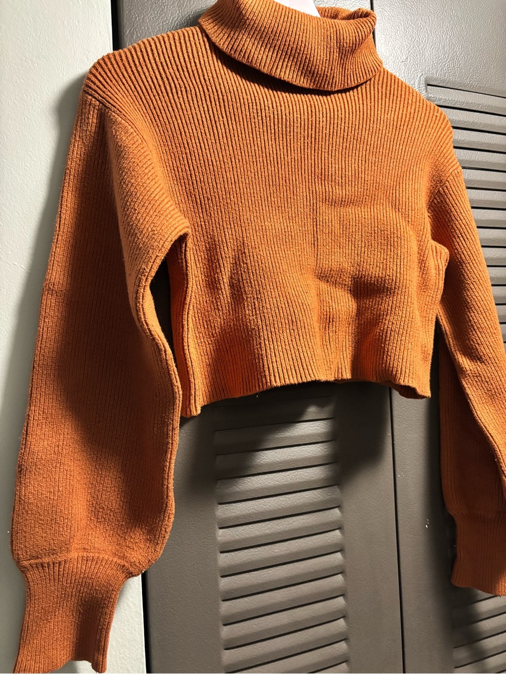 Francesca's Collections Cropped Cowl Neck Sweater in Rust Orange
